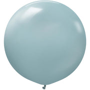 Kalisan 24 inch KALISAN RETRO STORM Latex Balloons 12480056-KL